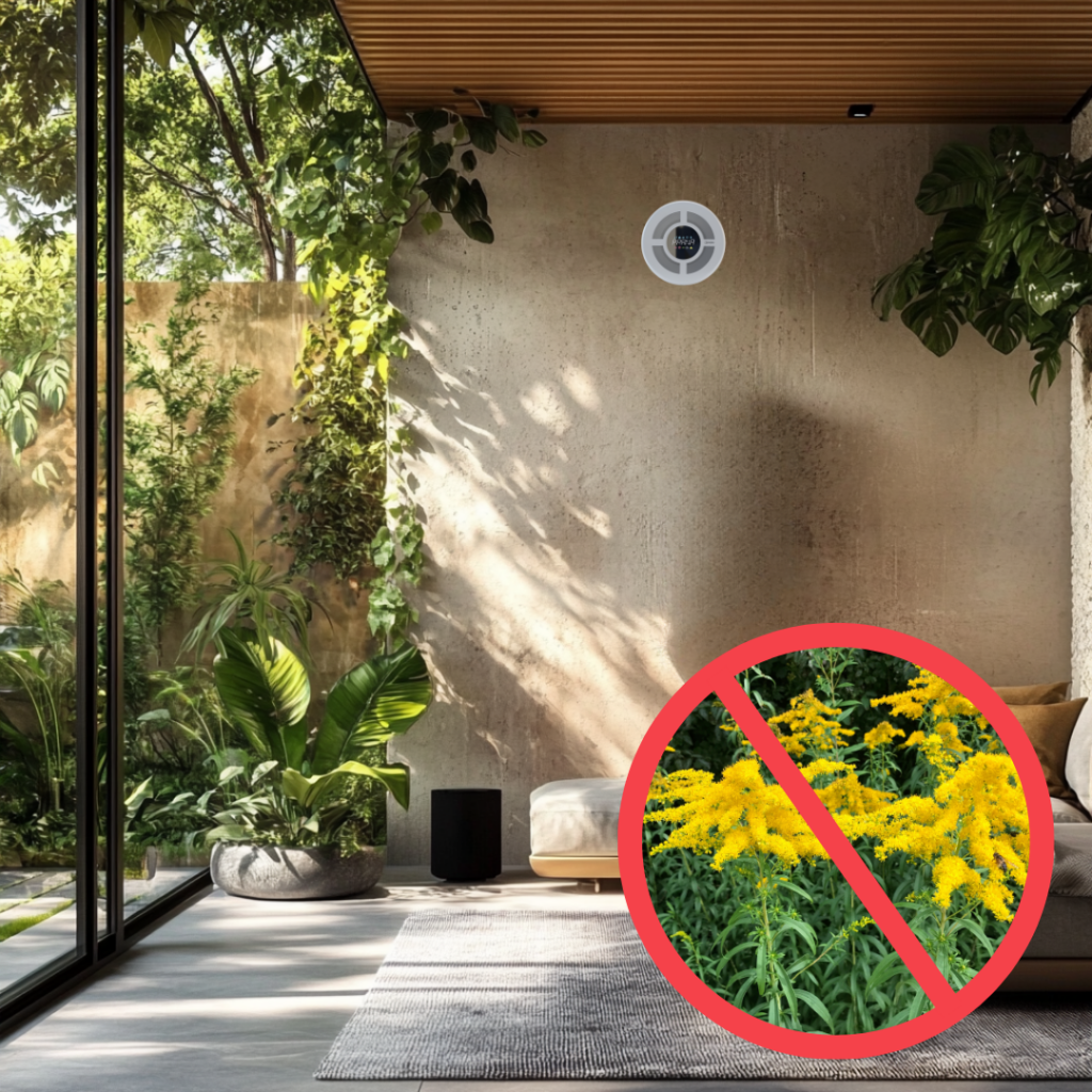 Prana purificator de aer pentru protecție împotriva polenului de ambrozie