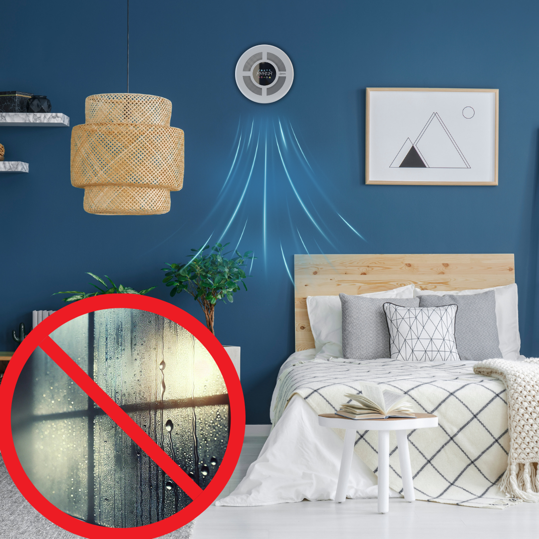 Cum să combateți umiditatea ridicată în apartament și casă: Soluția ideală cu sistemele de ventilație Prana — imagine articol blog