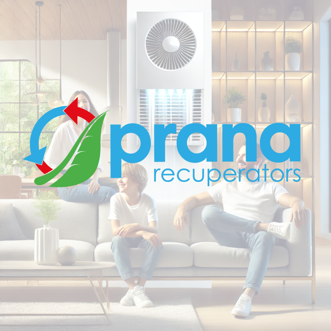 Cum poti obtine cashback de 500 de lei cu Prana? — imagine articol blog