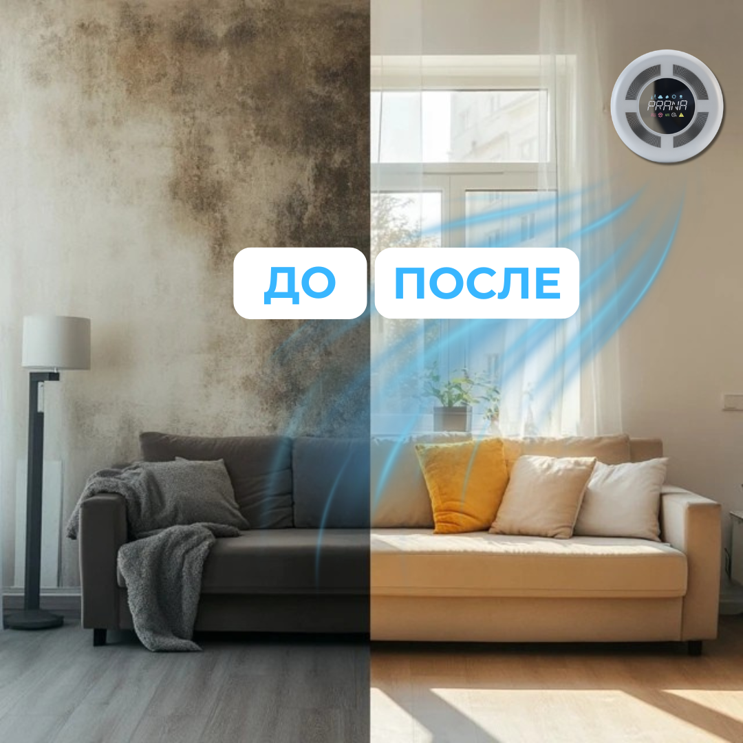 Решения Плесень — Prana