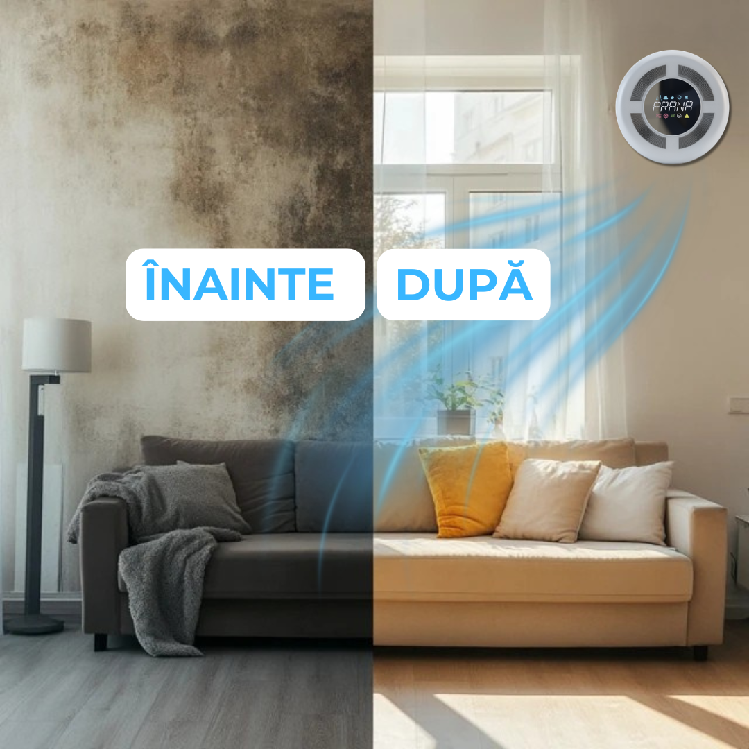 Solutie Mucegai — Prana